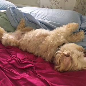 Meet your Posher, Evan